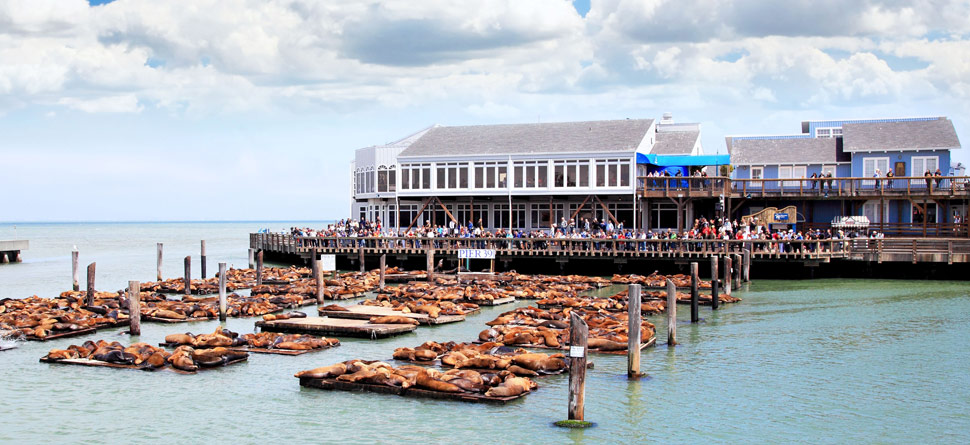 hero_fishermans_wharf_hotels_home5