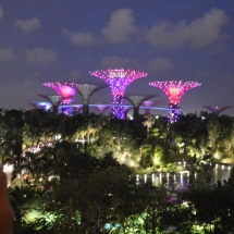 1 singapore - gardens by the bay (4)