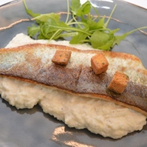 forel op vel met bloemkoolpuree