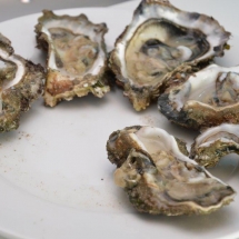 gegratineerde oester